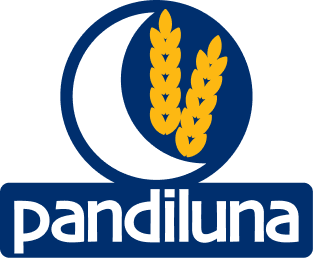 Logo 4
